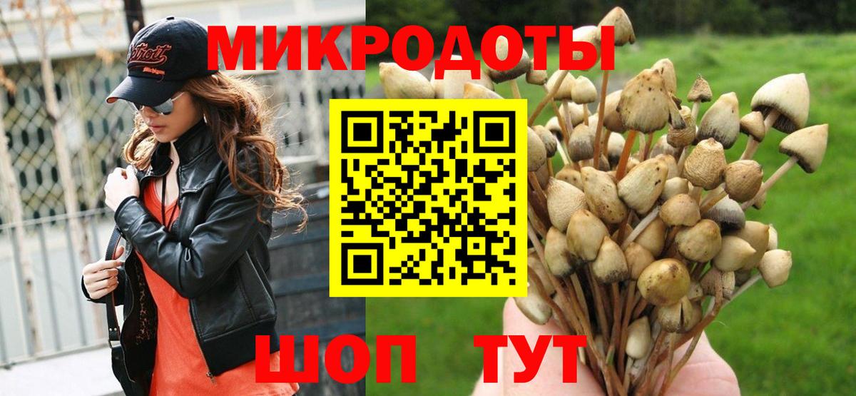 Псилоцибиновые грибы Cubensis  Вход с VPN  Медногорск 